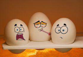 Navigating the 2025 Wholesale Egg Shortage: Challenges and Solutions for Foodservice