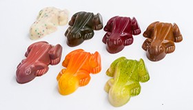 nina's-chocolates-wholesale-supplier