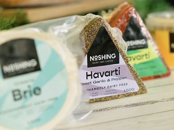 noshing-vegan-cheese-product-group