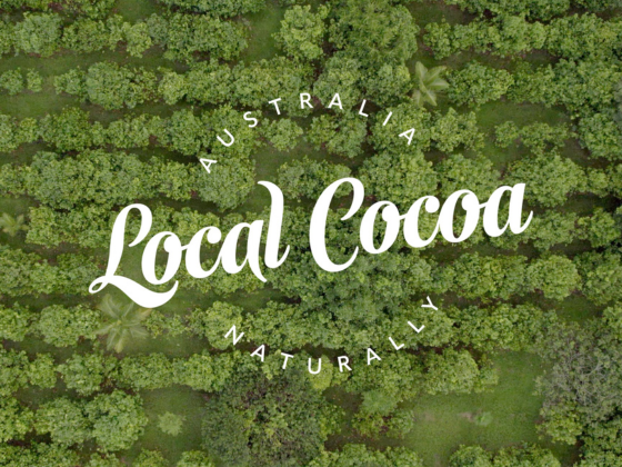 Local Cocoa