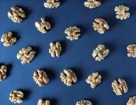 coaldale walnuts wholesale walnut kernels in retail packaging
