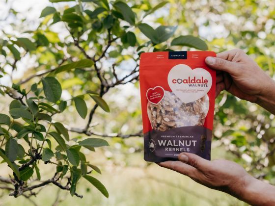 Coaldale Walnuts