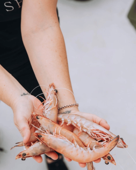 Silver Sea Seafoods Australian Eastern King Prawn retail packs displayed with fresh prawns on ice an