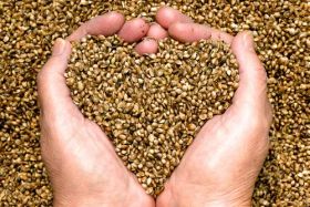agm-foods-wholesale-fermented-health-foods