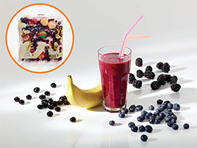 xotic-smoothies-ultimate-healthy-ready-to-blend-smoothies