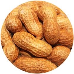 melbourne-nut-co-wholesale-nut-supplier