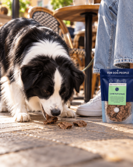 K9 Katering wholesale dog treats displayed in branded retail packs and jars at a butcher shop, with