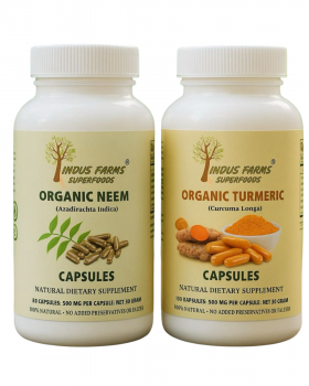 Indus Farms superfood powders with vibrant yellow and red fruit powders surrounded by mango slices a