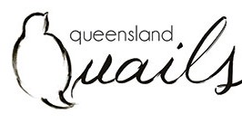 Queensland Quails Eggs