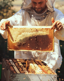 AB’s Honey range of premium Australian honey jars