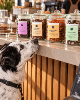 K9 Katering wholesale dog treats displayed in branded retail packs and jars at a butcher shop, with