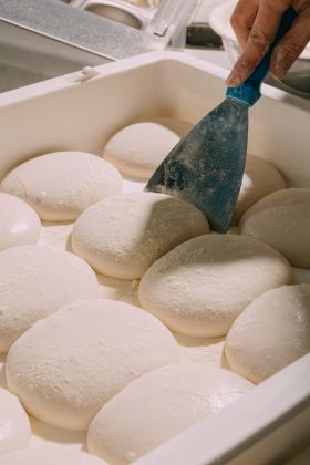 from-scratch-dough-wholesale-sourdough-pizza-bases-and-dough-balls