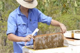 Country Honey Australia