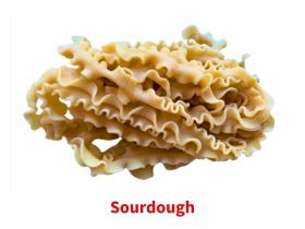 vede pasta wholesale fresh handcrafted pasta