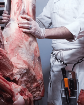 Close-up of a tender Glanmire Murray Greys beef slice held on a fork against a black background.