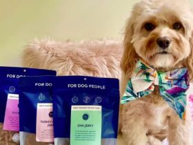 k9-katering-wholesale-dog-treats-snacks
