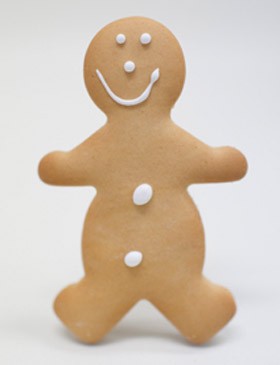 christen's-gingerbread-wholesale-gingerbread-supplier