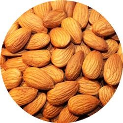 melbourne-nut-co-wholesale-nut-supplier