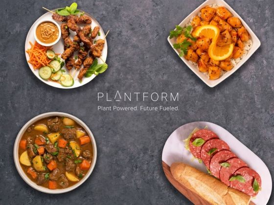 Plantform Partners