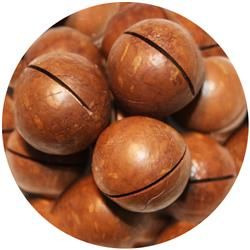 melbourne-nut-co-wholesale-nut-supplier