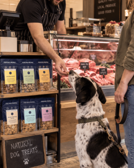 K9 Katering wholesale dog treats displayed in branded retail packs and jars at a butcher shop, with