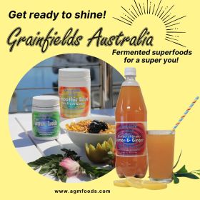 AGM Foods wholesale fermented functional food range featuring naturally fermented powders, liquid co