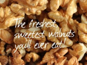 coaldale walnuts wholesale walnut kernels in retail packaging