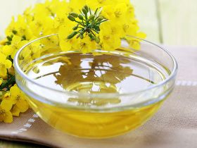 trojan-oils-wholesale-commercial-cooking-oils