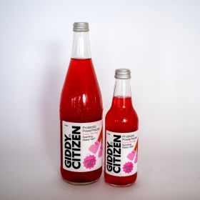 giddy-citizen-kefir-beverages-wholesale-supplier