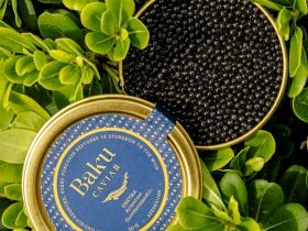 World-class caviar served on a gourmet dish with salmon and herrings, showcasing Harigon Gourmet Foo