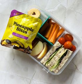 seriously-healthy-wholesale-frozen-fruit-snacks