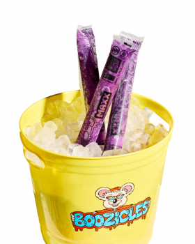 Boozicles logo featuring a cartoon koala holding the Boozicles name in bold lettering, representing