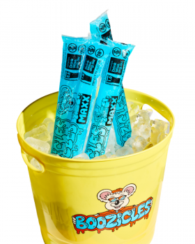 Boozicles logo featuring a cartoon koala holding the Boozicles name in bold lettering, representing