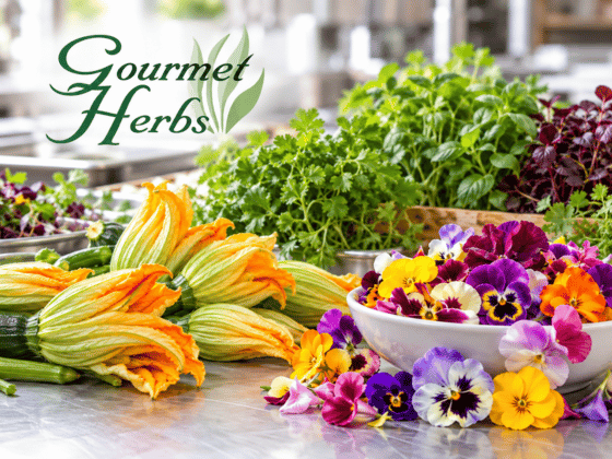 Gourmet Herbs